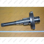 Шестерня Входная A218894(A213018) Doosan